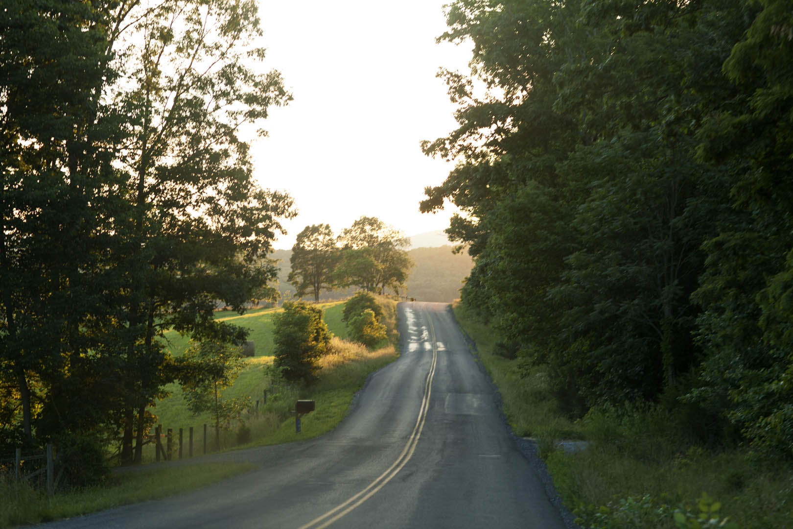 Virginia_086lr